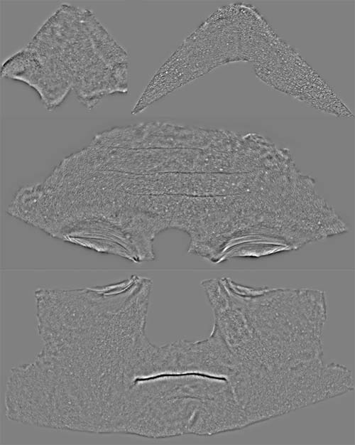 SM Man Face Disp  01_pic.jpg