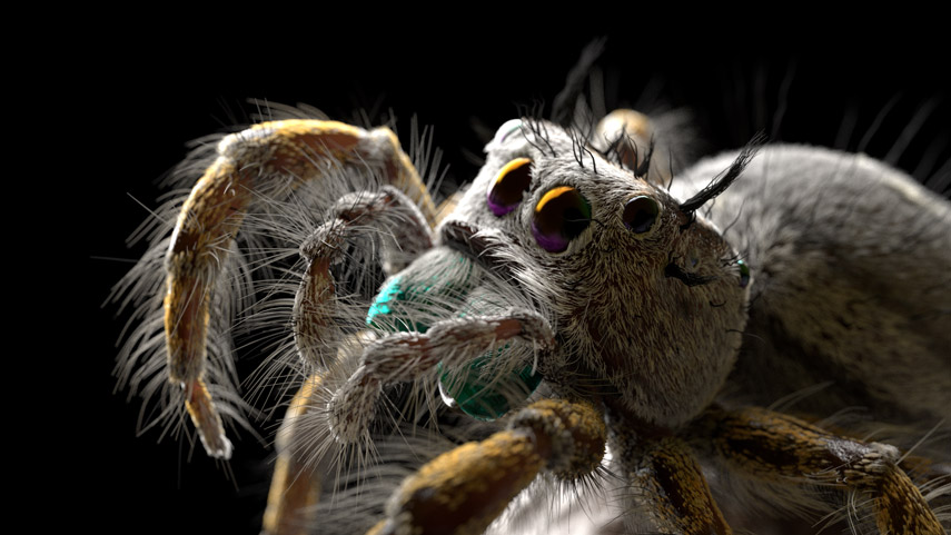 keller_spider_render_02.jpg